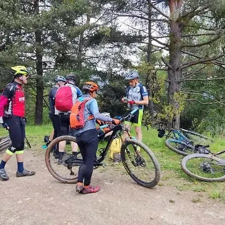 La Noguera De Pensión 3*